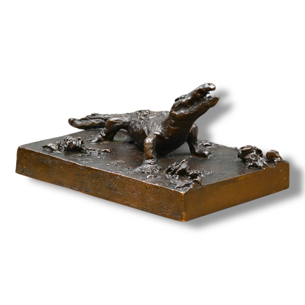 Emilio Bisi - Coccodrillo in Bronzo - Italia Fine XIX Secolo